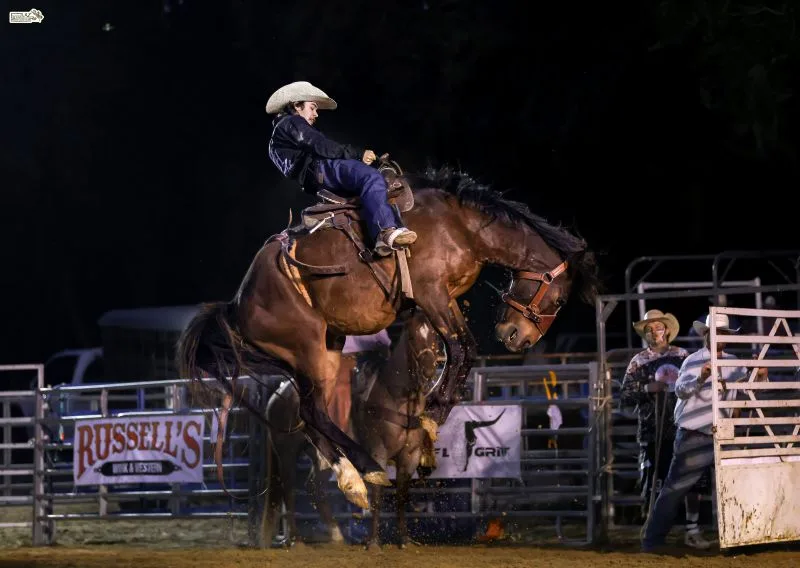 cowboy riding a bucking bronco at the Tampa Bay Rodeo and Family Fest
