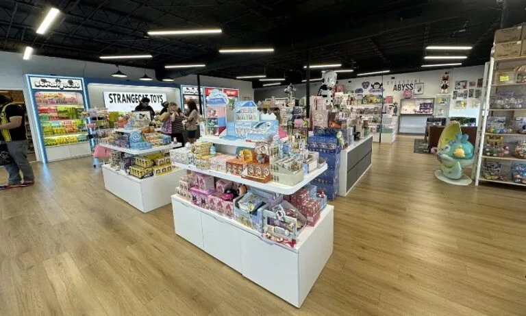 One of the Collectable Shops in Tampa, StrangeCat Toys, featuring figurines, blind boxes, and more!