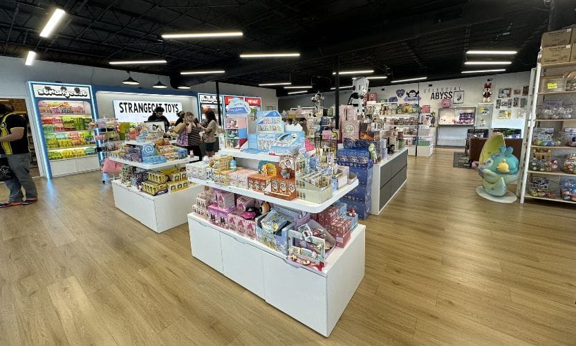 One of the Collectable Shops in Tampa, StrangeCat Toys, featuring figurines, blind boxes, and more!