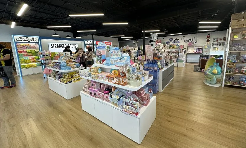 One of the Collectable Shops in Tampa, StrangeCat Toys, featuring figurines, blind boxes, and more!