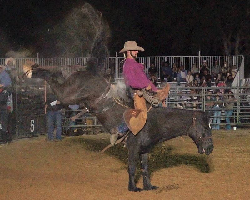Tampa Bay Rodeo July 2026