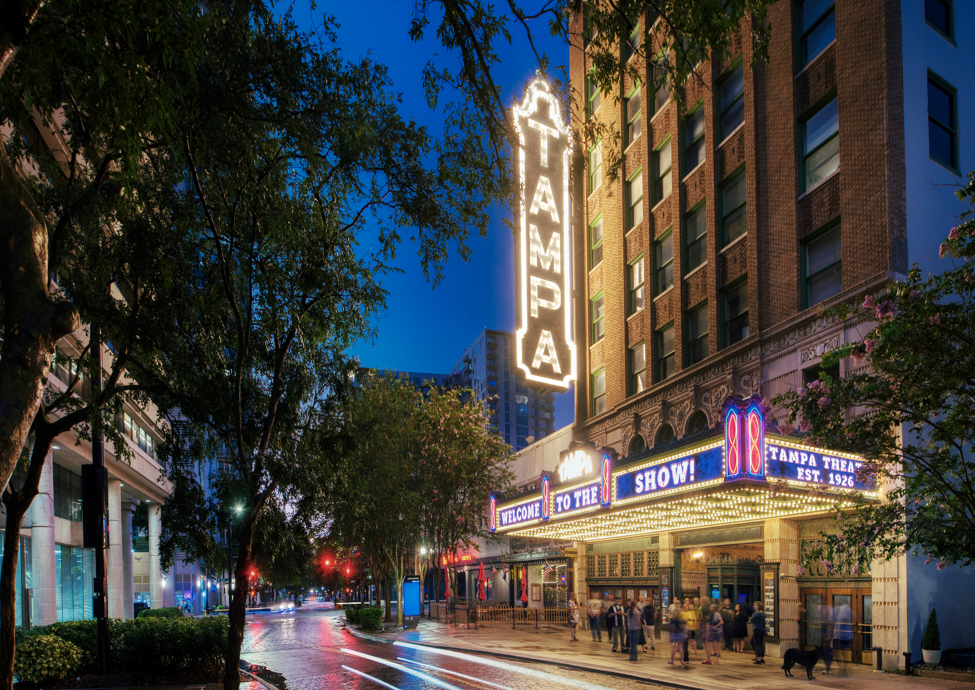 Head to the Tampa Theatre for Halloween movies in Tampa!