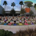 Out of the Ordinary Tampa Bay Yoga Adventures