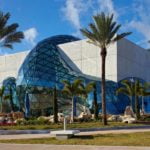 Mimosas & Masterpieces: Brunch at the Dali this Sunday!