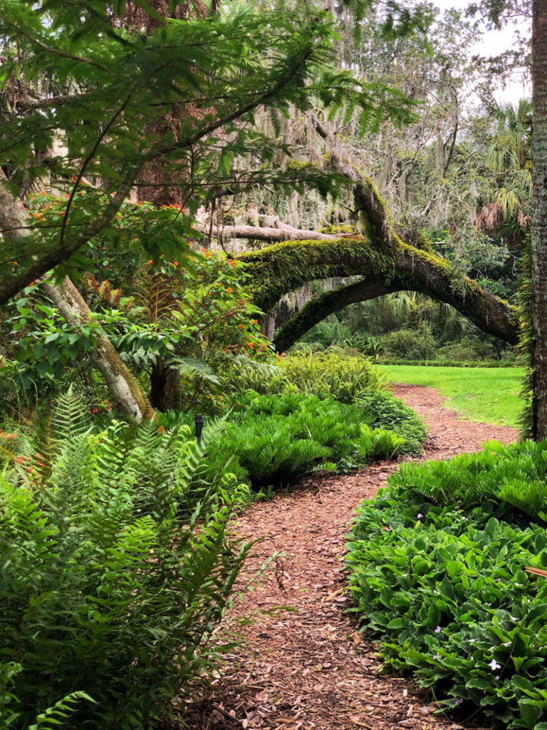 Mulched paths at Bok Tower Gardens
