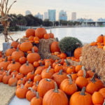 Pumpkin Patches, Fall Festivals and Foodie Events for Couples