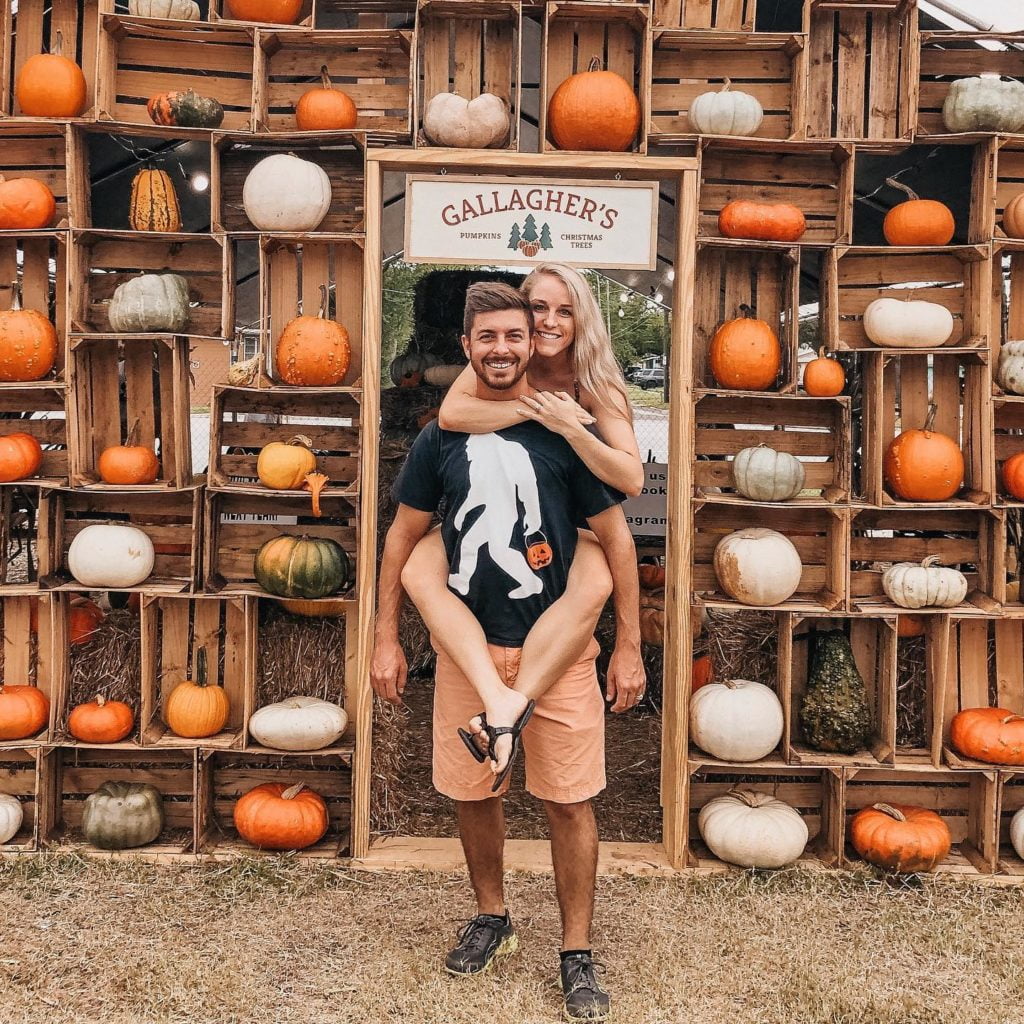 Tampa Bay pumpkin patches