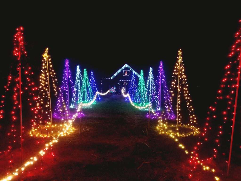 Holiday lights in Tampa Bay - The Christmas Trail