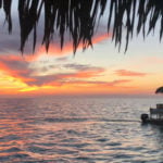 Sunset Cruises and Tours for a Romantic Night Out