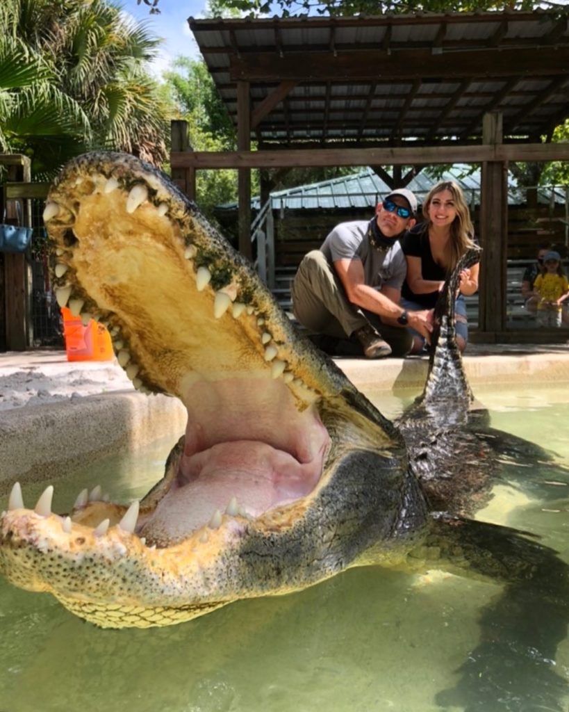 Gator encounters at Wild Florida