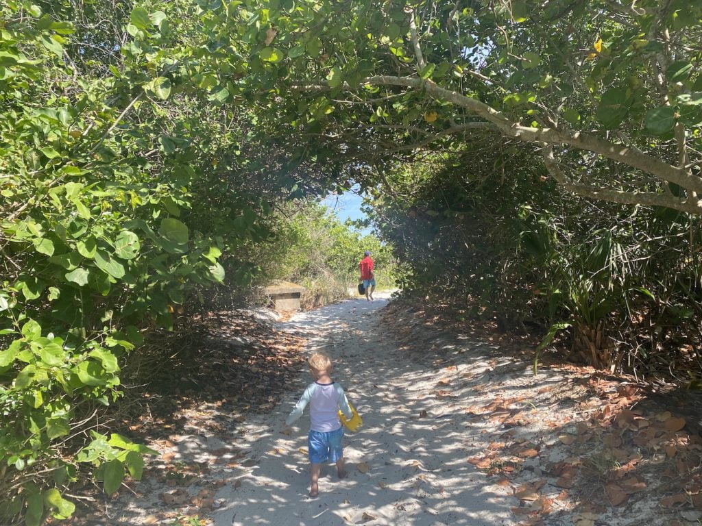Pathway to the beach on Egmont Key