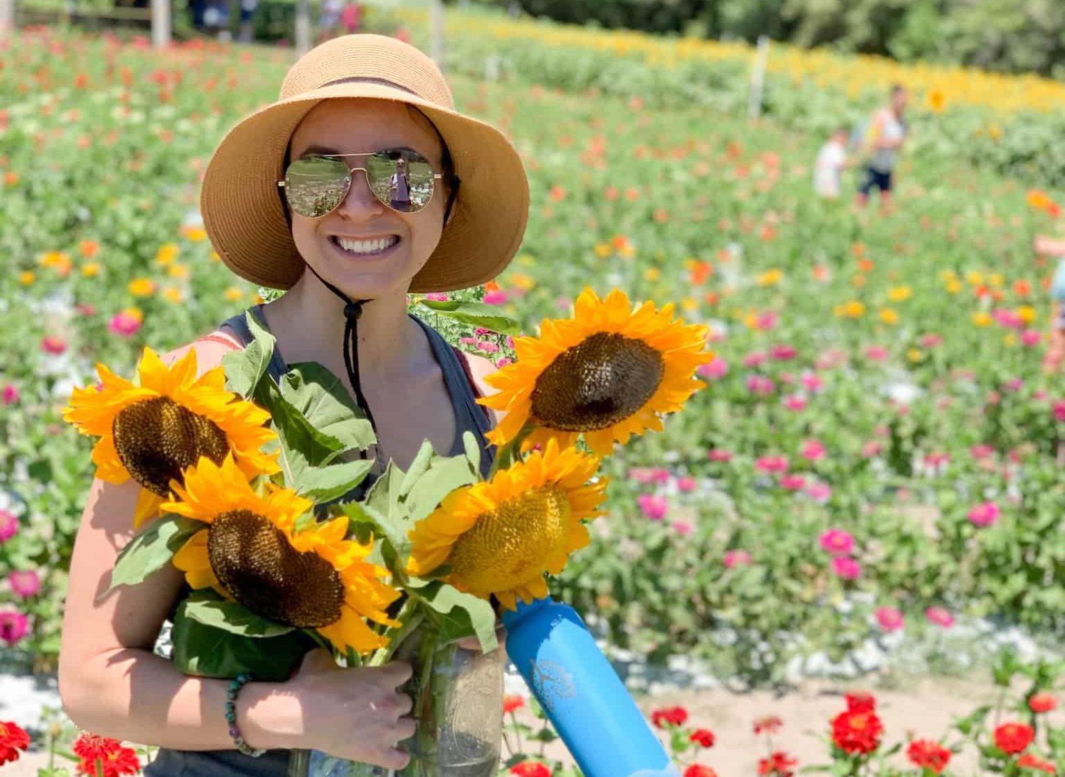 where to pick sunflowers and peaches in Tampa Bay